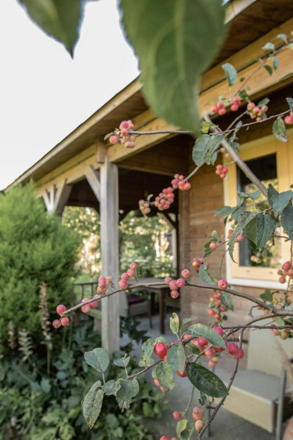 Chalet Ben In Broek Benningbroek Exterior foto