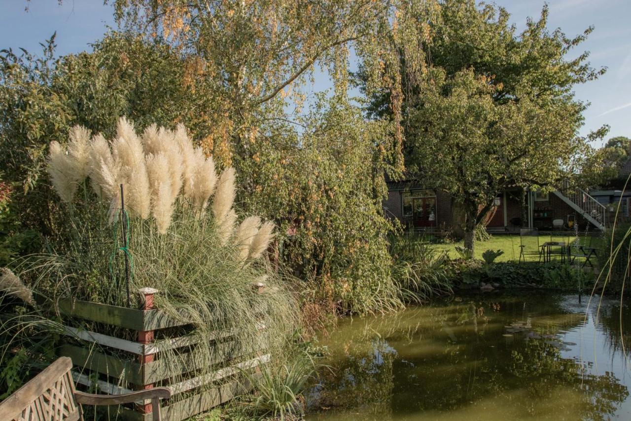 Chalet Ben In Broek Benningbroek Exterior foto